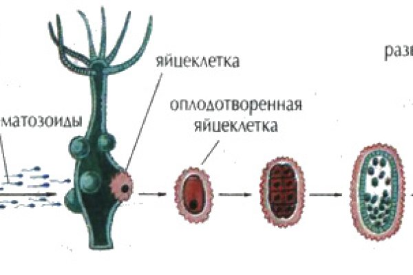 Кракен работает