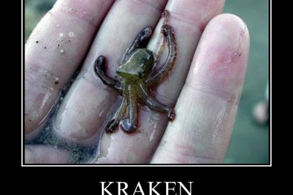 Kraken сайт tor