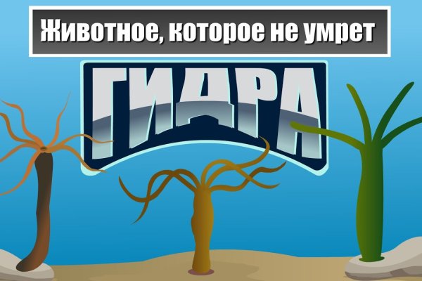 Кракен маркетплейс ссылка