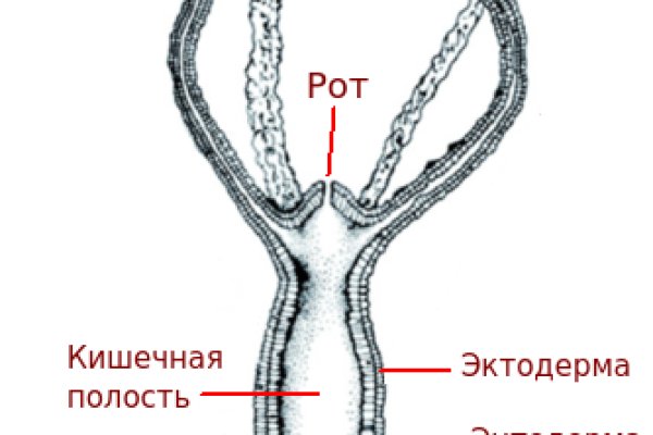 Забыл пароль от кракен